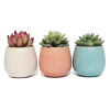 Home & Decor