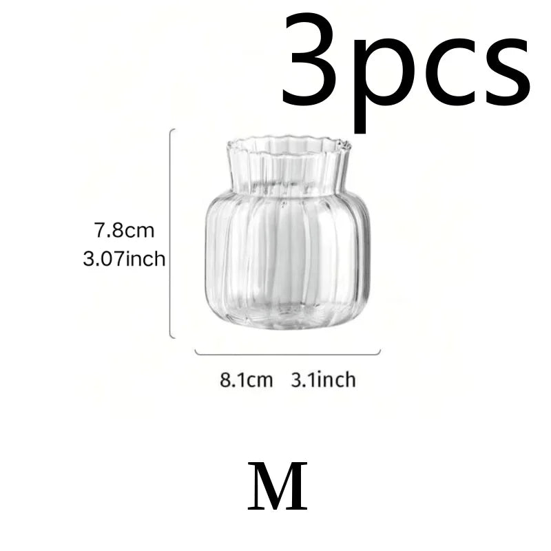 1/2/3pcs Nordic Transparent Glass Vase – Creative Hydroponic Flower Pot for Table & Home Décor