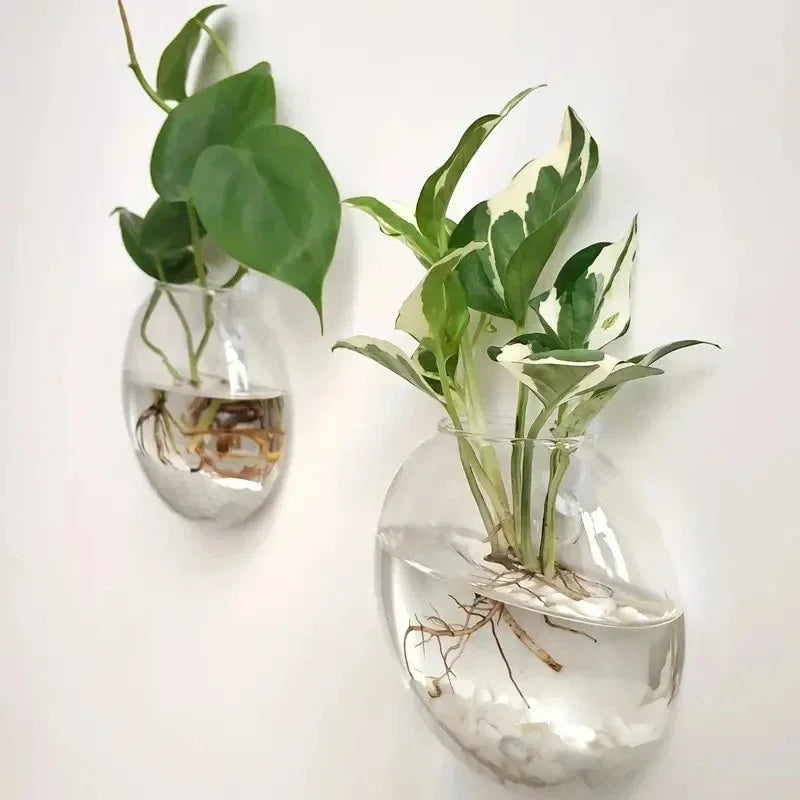 2/4/6 Pack Hanging Glass Terrarium – Self-Watering Hydroponic Crystal Planters for Home & Office Décor