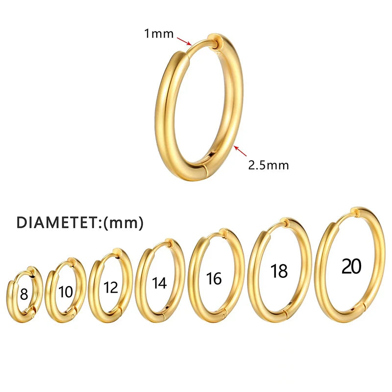 1 Pair Stainless Steel Round Hoop Earrings – 2.5mm Thick Hip-Hop Huggie Jewelry for Women