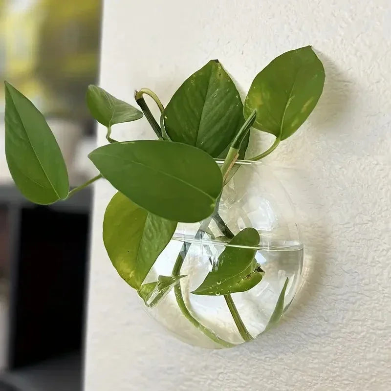 2/4/6 Pack Hanging Glass Terrarium – Self-Watering Hydroponic Crystal Planters for Home & Office Décor