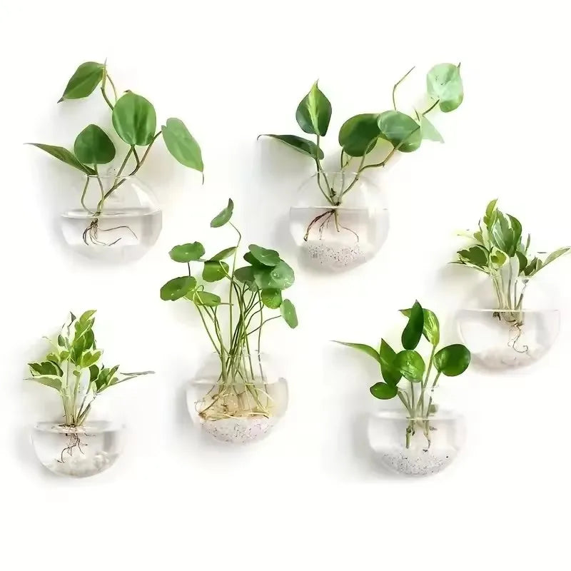 2/4/6 Pack Hanging Glass Terrarium – Self-Watering Hydroponic Crystal Planters for Home & Office Décor