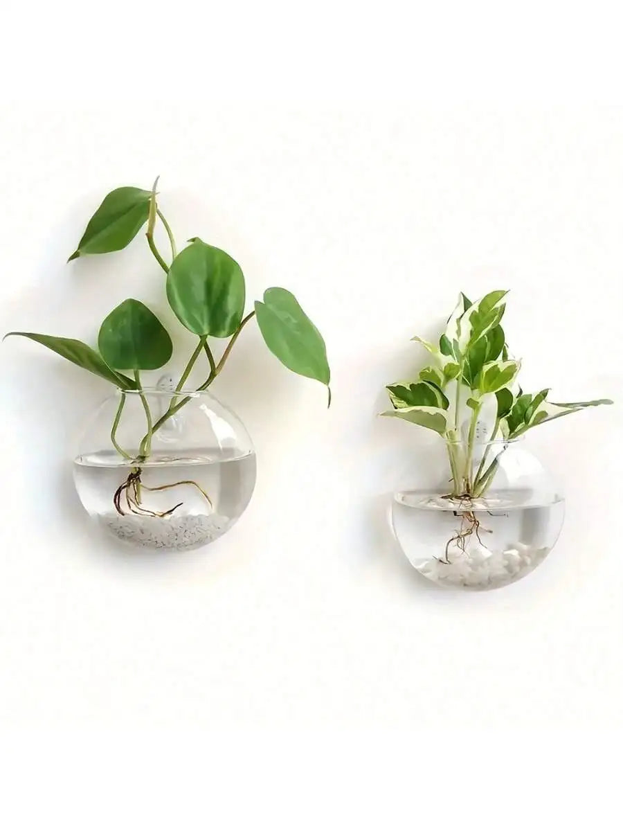2/4/6 Pack Hanging Glass Terrarium – Self-Watering Hydroponic Crystal Planters for Home & Office Décor