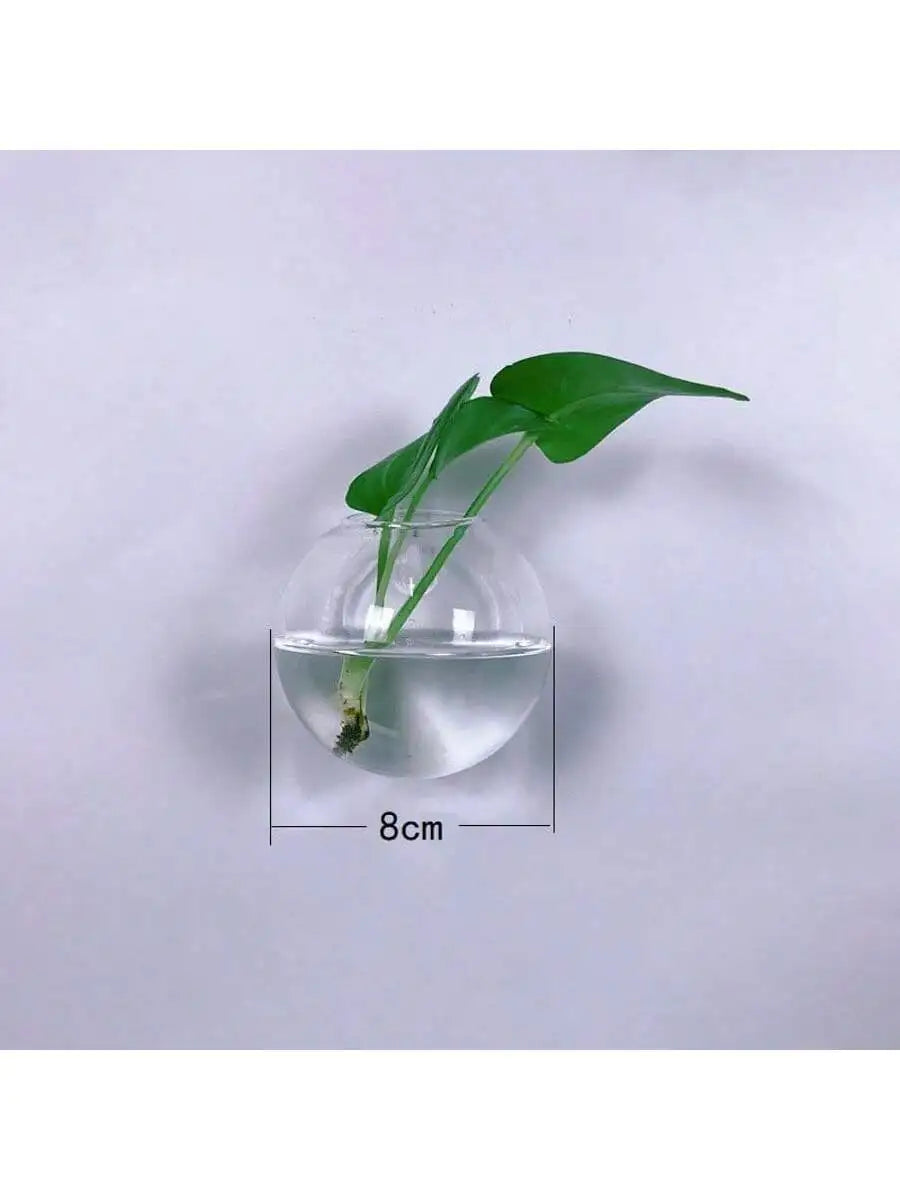 2/4/6 Pack Hanging Glass Terrarium – Self-Watering Hydroponic Crystal Planters for Home & Office Décor