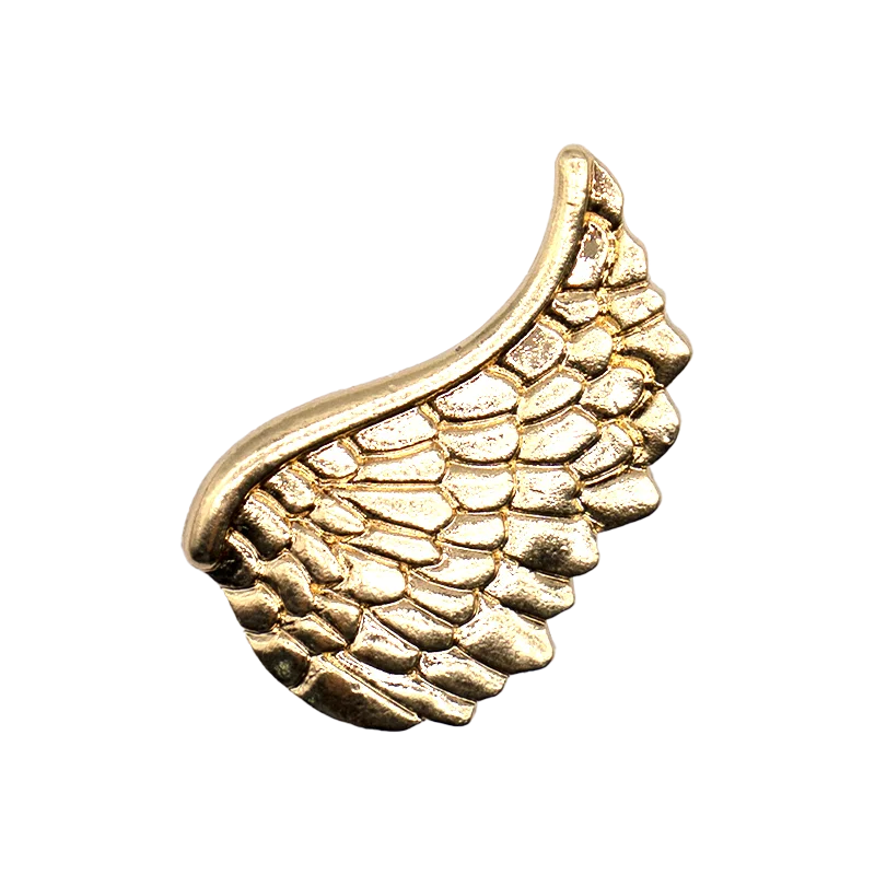 1PCS Gold Metal Shoe Charms New Metal Star Wings Wolf Shoe Buckle Accessories fit Women Men 2025 Trends Shoe Decoration Pin Gift