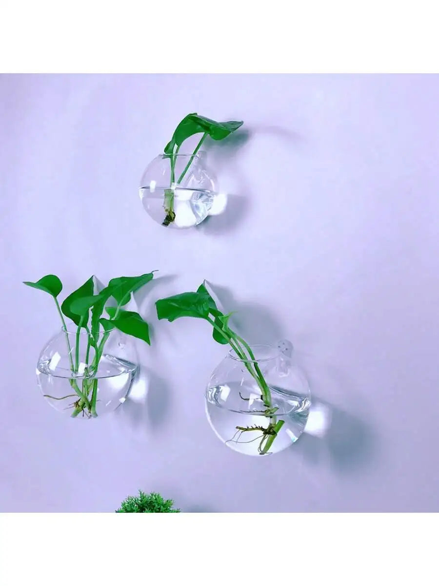 2/4/6 Pack Hanging Glass Terrarium – Self-Watering Hydroponic Crystal Planters for Home & Office Décor