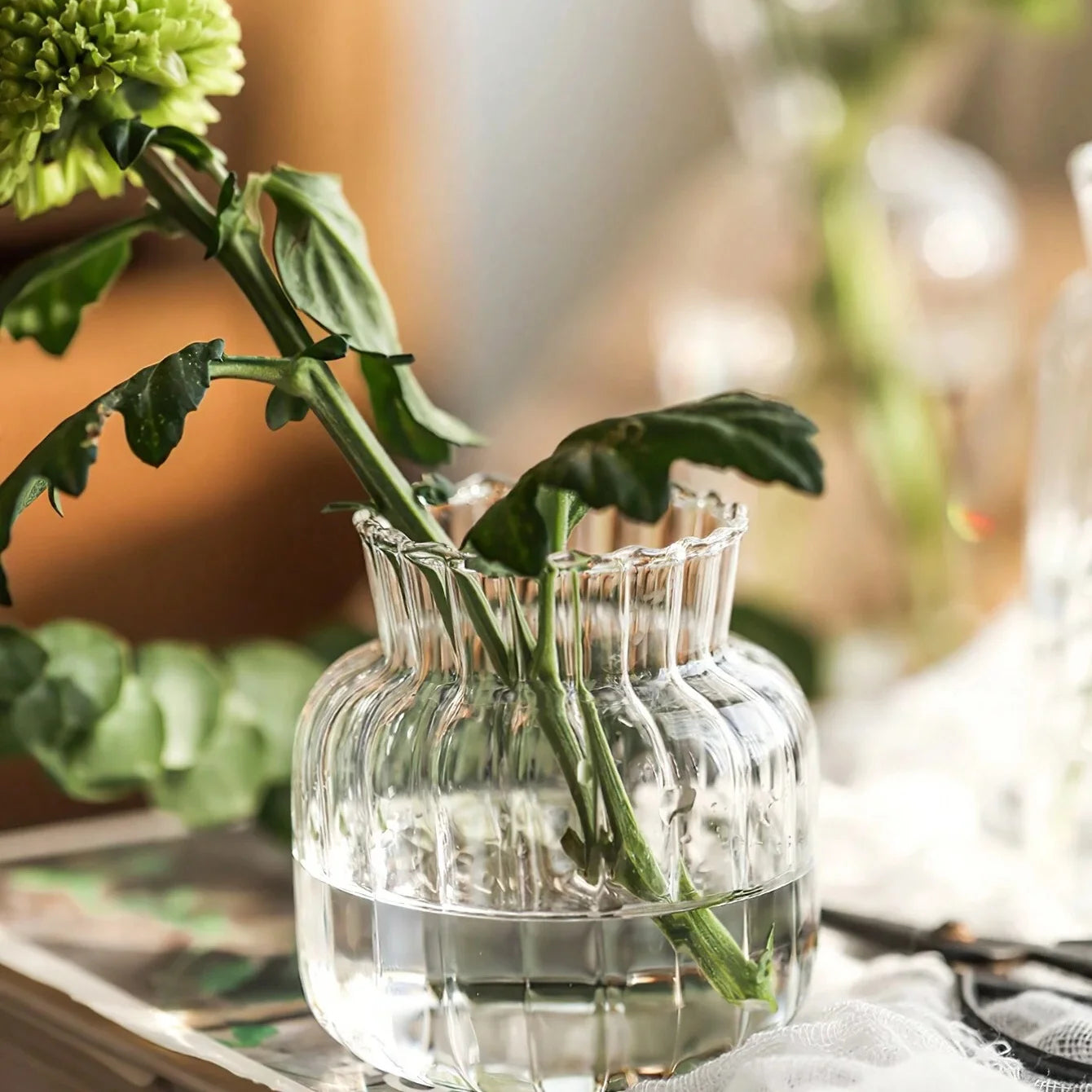 1/2/3pcs Nordic Transparent Glass Vase – Creative Hydroponic Flower Pot for Table & Home Décor