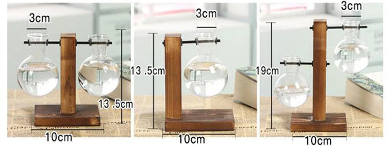 Hydroponic Plant Terrarium Glass Vase – Small Desktop Green Plant Bottle for Home & Office Décor