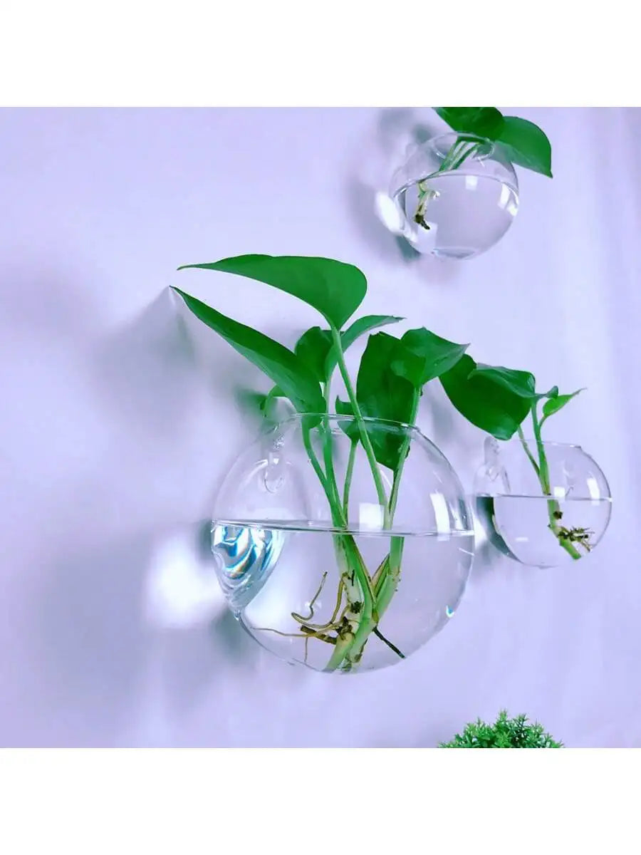 2/4/6 Pack Hanging Glass Terrarium – Self-Watering Hydroponic Crystal Planters for Home & Office Décor