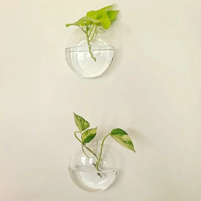 2/4/6 Pack Hanging Glass Terrarium – Self-Watering Hydroponic Crystal Planters for Home & Office Décor