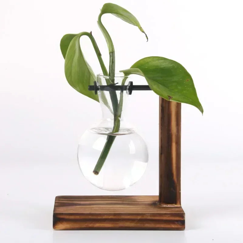 Hydroponic Plant Terrarium Glass Vase – Small Desktop Green Plant Bottle for Home & Office Décor