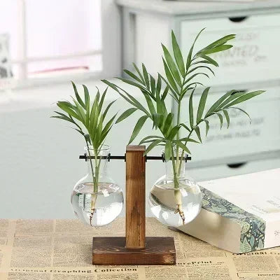 Hydroponic Plant Terrarium Glass Vase – Small Desktop Green Plant Bottle for Home & Office Décor
